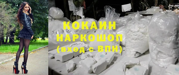 гашик Алзамай