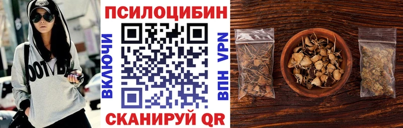 Галлюциногенные грибы Magic Shrooms  купить закладку  Кинель 